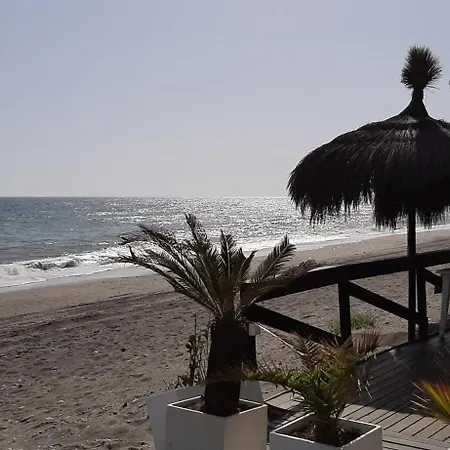 Coral 4 1.10 Torrox