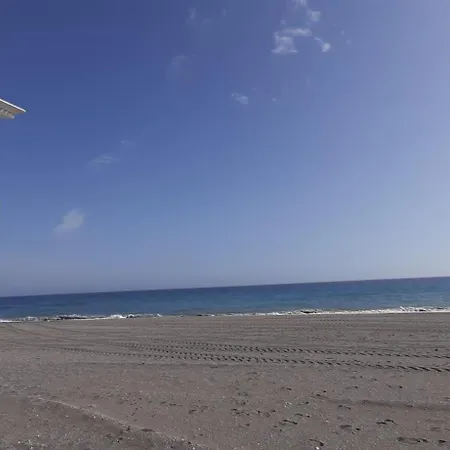 Coral 4 1.10 * Torrox